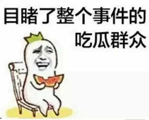 沙雕吃瓜系统娱乐圈小说
