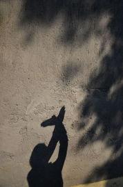 遥的图片,捕捉瞬间之美